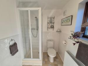 Vannituba majutusasutuses Lovely Little Garden Cottage, Tamar Valley, Cornwall +15 fotot