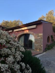 Κήπος έξω από το The Barn among olive trees +16 φωτογραφίες