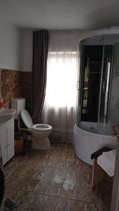 Phòng tắm tại PRIDVOR de STOENESTI +26 ảnh