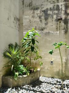 En have udenfor Aayu Heritage - Heritage Home in Stewart Lane