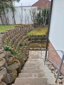 Zahrada ubytování Ferienwohnung Knoerck Weikersheim