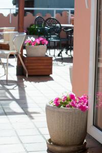 Fotografia z galérie ubytovania Hotel Plaça v destinácii Sant Feliu de Guixols