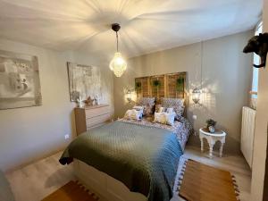 a bedroom with a bed and a chandelier at La maison d'Eddy et Caro aux Portes du Verdon in Trigance