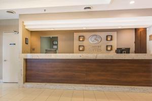 Vstupní hala nebo recepce v ubytování Comfort Suites Downtown