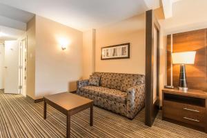Posezení v ubytování Comfort Suites Downtown