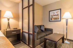 Posezení v ubytování Comfort Suites Downtown