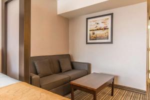 Posezení v ubytování Comfort Suites Downtown