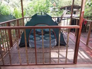 Foto sihtkohas Hone Creek asuva majutusasutuse Apo-Experience Ecoturismo Talamanca galeriist