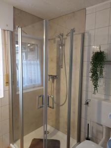 a shower with a glass door in a bathroom at Kiek mol rin - Richmanns Appartements in Hüde +22 photos