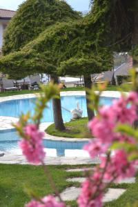 Bazén v ubytování Naturhotel Sonnenhof nebo v jeho okolí