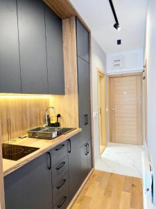 a kitchen with a sink and a counter top at Centar Balkan Square in Zlatibor