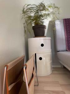 a plant sitting on top of a white table next to a couch at Cozy Apartment In Old Farm in Svaneke