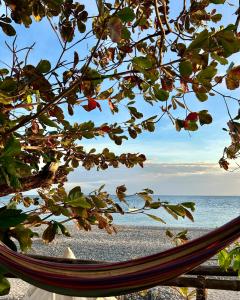 a hammock on a beach with the ocean in the background at KAWAI Beach Camp in Lobo