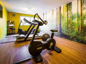 Fitness centrum a/nebo fitness zařízení v ubytování Novotel Saint Avold