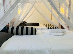 twee bedden met gestreepte kussens in een tent bij NAT City Ella in Ella