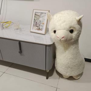 Photo de la galerie de l'établissement Georgetown modern ins suites, à George Town