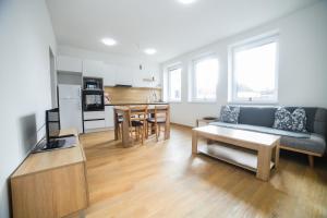 Kuchyň nebo kuchyňský kout v ubytování apartmány MAJKA