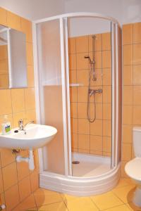 Koupelna v ubytování Penzion Veritas