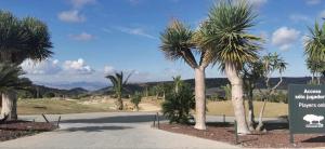 a road with palm trees and a sign in the middle at Vistabella golf villa jade in Orihuela Costa