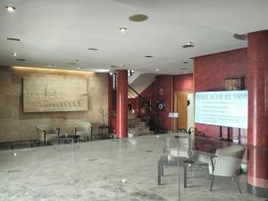 Vstupní hala nebo recepce v ubytování Hotel Helmántico