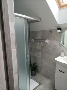 a bathroom with a glass shower and a sink at Apartamenty w Stodole in Krościenko