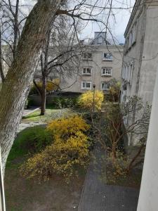 an external view of a building with trees and bushes at Karmel Apartment in Warsaw +11 photos