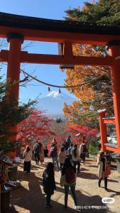 入住缘民宿的客人
