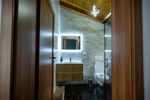 a bathroom with a sink and a toilet at EDEN HOUSE Viseu de Sus in Vişeu de Sus +26 photos