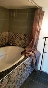 a bath tub with a shower curtain in a bathroom at Le cocon de la plage du Santocha in Capbreton +11 photos