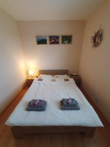 Postel nebo postele na pokoji v ubytování Apartmán Tymián