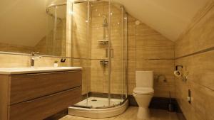 a bathroom with a shower and a toilet and a sink at Hiša Lunna - Apartments in a Forest Paradise in Vitanje