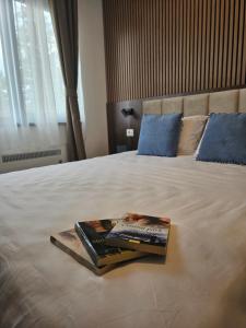 Ένα ή περισσότερα κρεβάτια σε δωμάτιο στο Apartman SiM Titova vila Zlatibor +9 φωτογραφίες