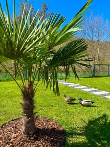 Afbeelding uit fotogalerij van Aqua Vita Concept in Bihać