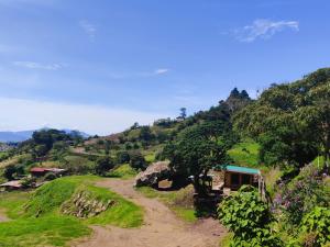a dirt road on a hill with a house on it at Hospedaje Jac Cabaña de Campo in Cartago