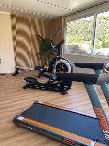 a gym with two exercise bikes and a treadmill at Les Alcyons in Le Lavandou