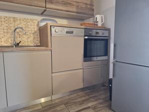 Kuchyň nebo kuchyňský kout v ubytování Apartma Maks & Anita