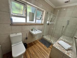 a bathroom with a toilet and a shower and a sink at Prospect Cottage B in Gqeberha +1 photo