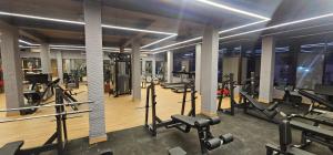 ラーンチーにあるAvante Palaceのトレッドミルやマシンが揃ったジム