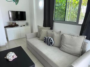 a living room with a couch and a tv at COMME un POISSON in Sainte-Anne