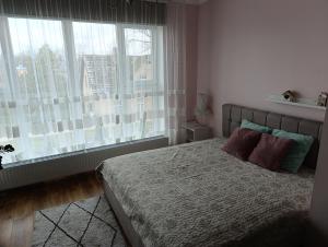 a bedroom with a bed and a large window at Liepu ielas rezidence in Valmiera