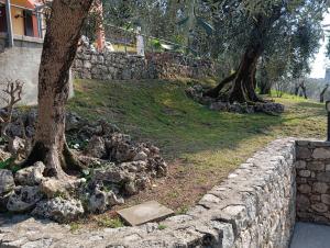 Jardí fora de Villa Antopolis