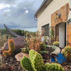 un giardino con cactus di fronte a un edificio di BLISS HOME Lagunas de Villafáfila a Villalba de la Lampreana