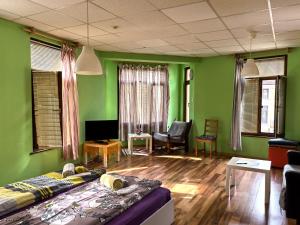 a room with green walls and a bed and a couch at 4 Rooms in Plovdiv +20 photos