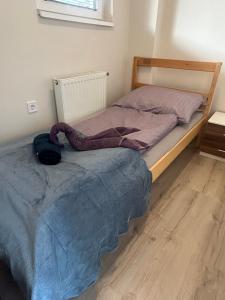 Postel nebo postele na pokoji v ubytování Amethyst Apartman