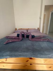 Postel nebo postele na pokoji v ubytování Amethyst Apartman