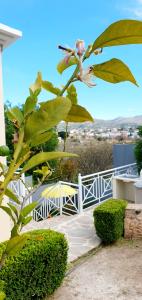 a plant with a pink flower on a balcony at Jasmine Home, Aegina City in Aegina Town