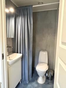 a bathroom with a toilet and a sink at Newly renovated studio apartment - free parking and EV docking in Trondheim +5 photos