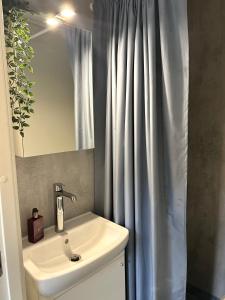 a bathroom with a sink and a shower curtain at Newly renovated studio apartment - free parking and EV docking in Trondheim