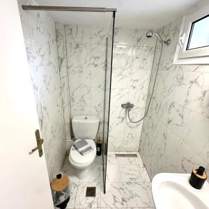 a bathroom with a shower and a toilet and a sink at R&T Apartments in Kallithea Halkidikis