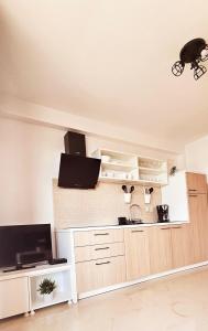 Kuchyň nebo kuchyňský kout v ubytování APARTMENTS LUMA 1